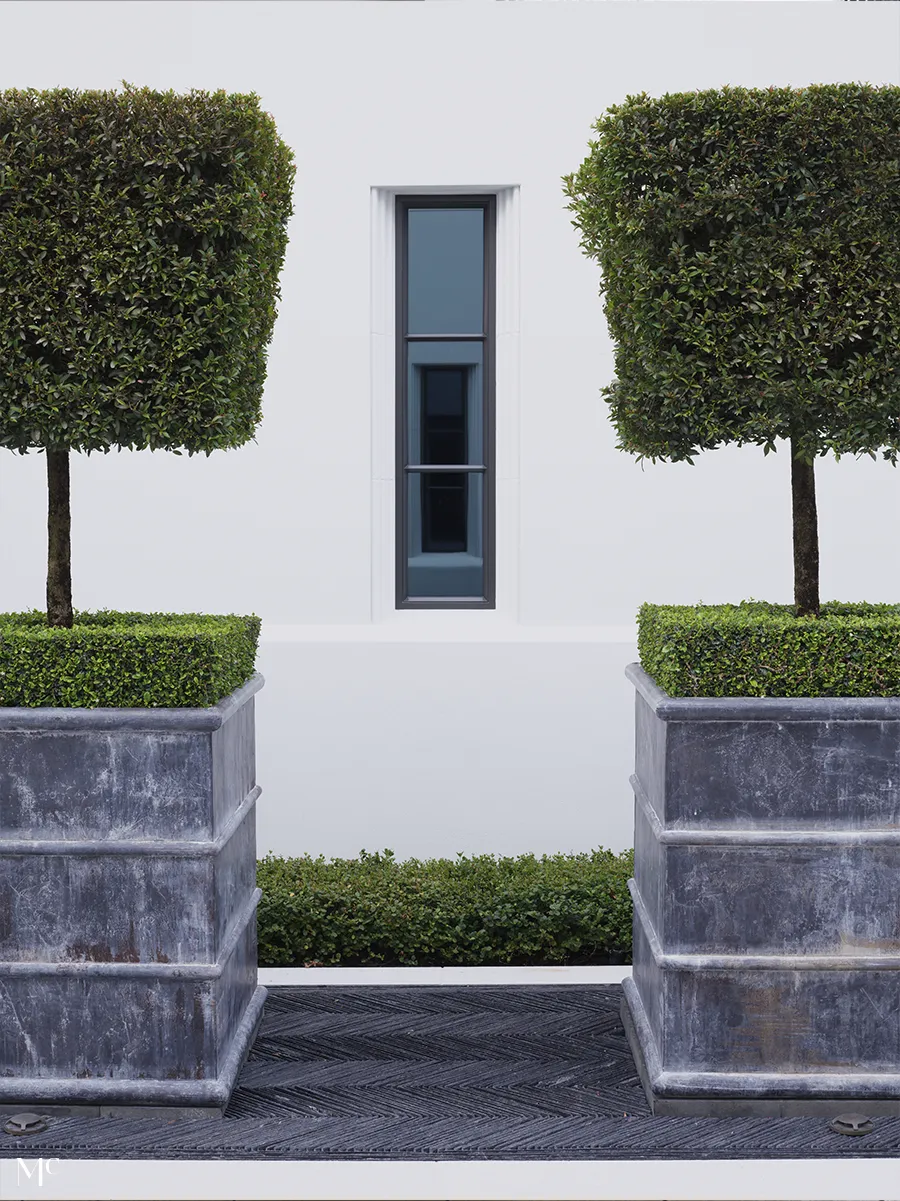 A symmetrical view of a window with hedges on both sides