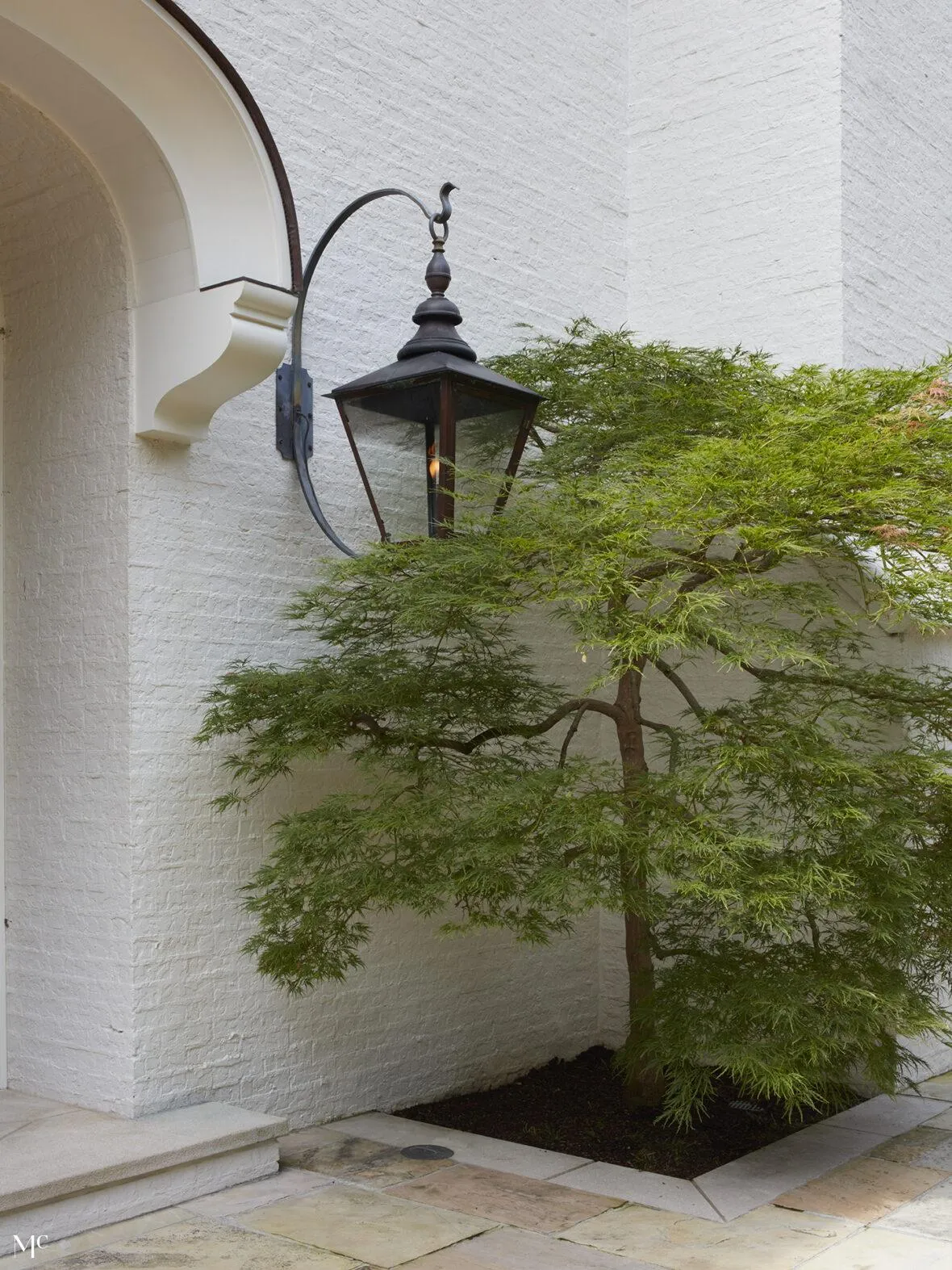 white wall corner with an iron lantern and a green maple tree in the courtyard