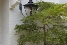 white wall corner with an iron lantern and a green maple tree in the courtyard