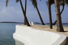 View of palm trees and the ocean